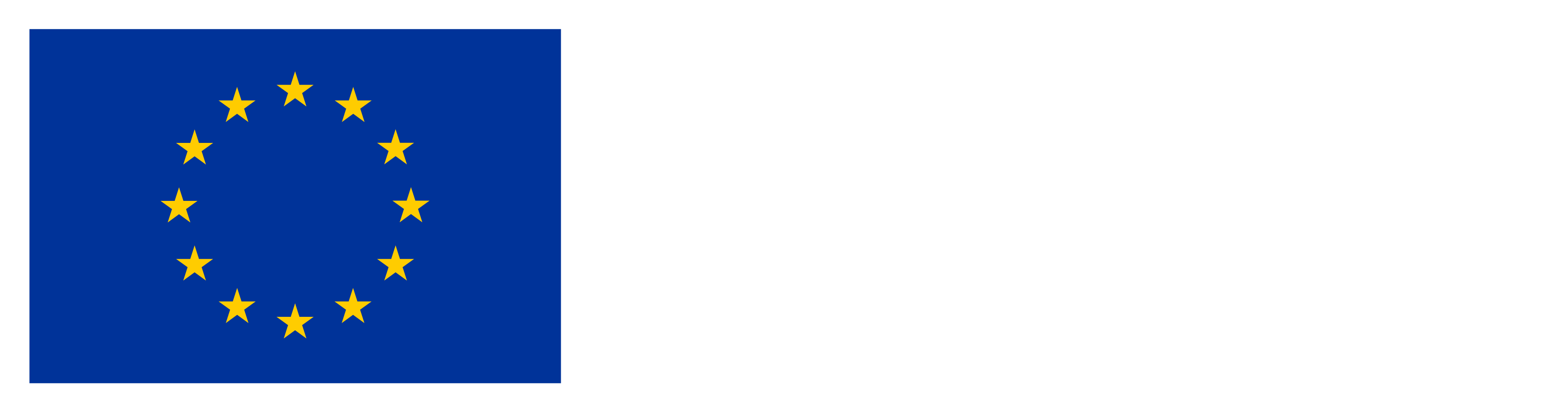 Co-funded by the European Union